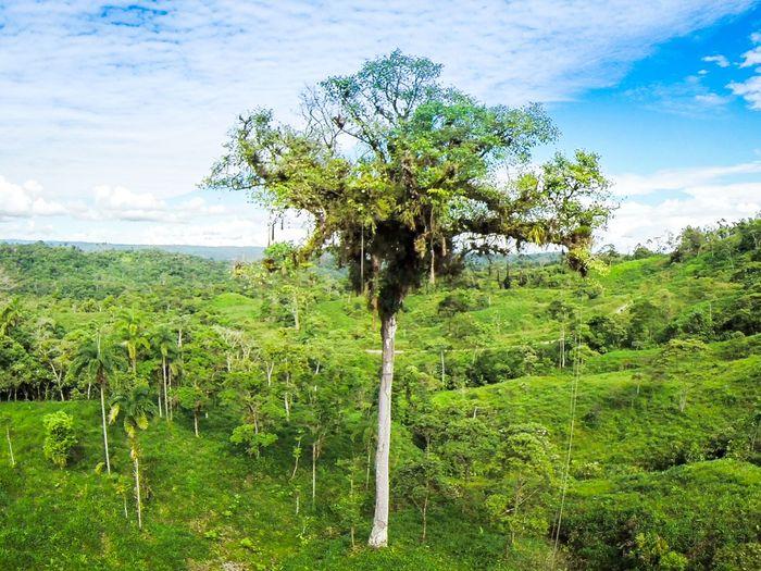 amazonas archidona djungle drohne drone ecuador gopro luftaufnahme vivideo 113 - viventura South America Tours GoPro Footage from Drone